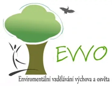 Logo EVVO